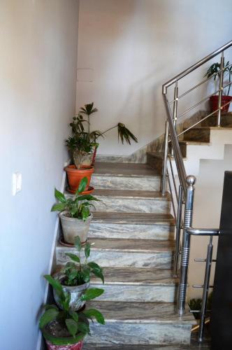 HOTEL ANGEL PACHMARHI