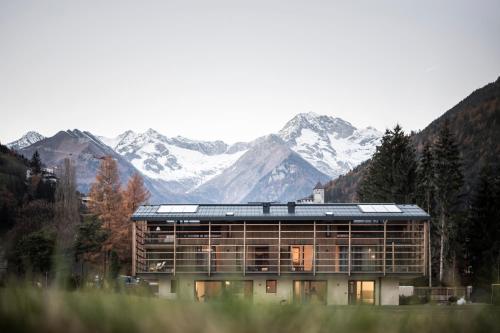OVINA`s HAUS