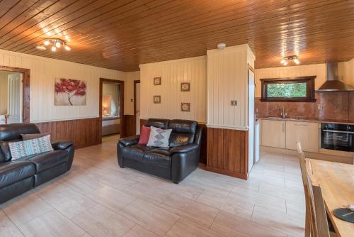 Birch Lodge 21 with Hot Tub Newton Stewart