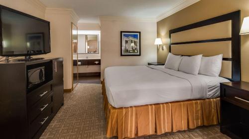 Best Western Inn & Suites of Macon - image 7