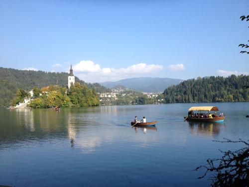Holiday Home Bela - image 14