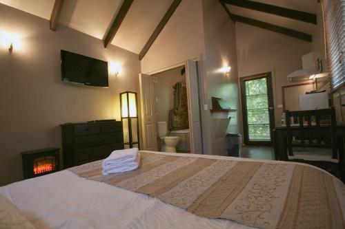 Accommodation in Frenchs Forest