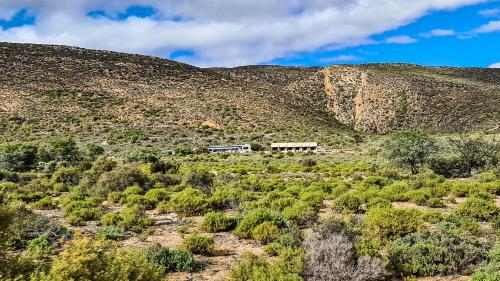 Rooiberg Wild Private Game Reserve Rooiberg Wild Private Game Reserve