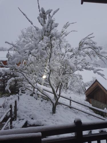 appartement myosotis pour 10 personnes near Chalet du Sunny