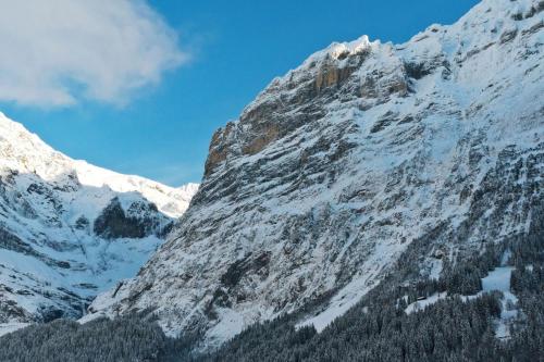 Hotel Alpenblick