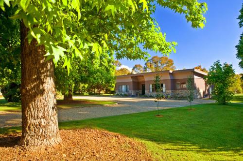 포르펀카 Buffalo Motel and Country Retreat 3성급 호텔 부대시설