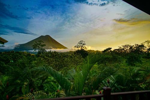 276454887 Arenal Manoa Resort & Hot Springs