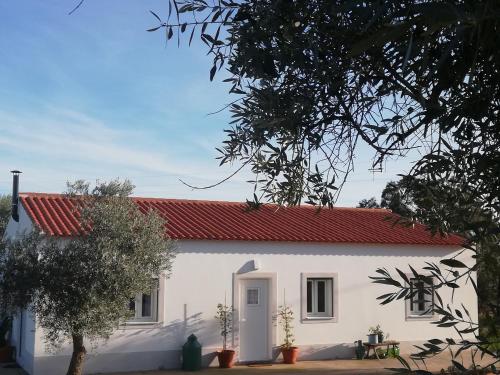 . Burrico D`Orada - Rural Stays & Wine Country Tours