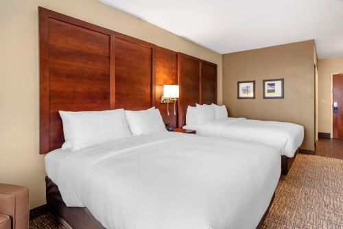Comfort Inn & Suites - image 7