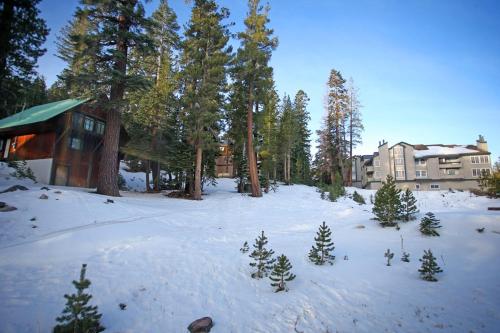 Silver Bear #20 Deluxe Upscale 2 Bed 2 Bath Condo Short Walk to Canyon Lodge Pet Friendly - image 3