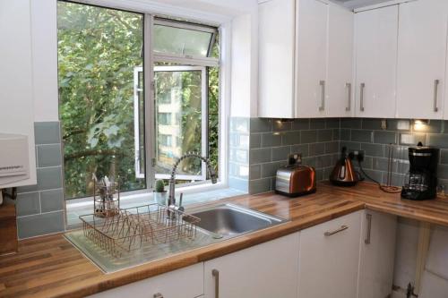Large 3 bedroom apartment in gated development, Londýn (fotografie 11)