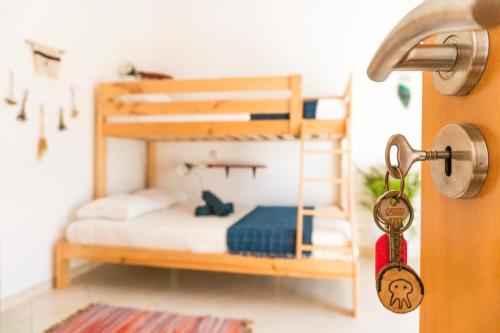 Jelly Fish Guest House