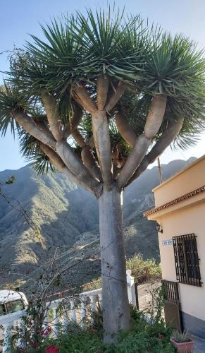  Casa Noni in Santa Cruz de Tenerife