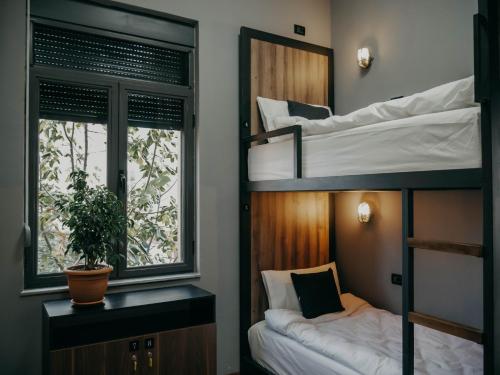 The Maze Hostel - image 8