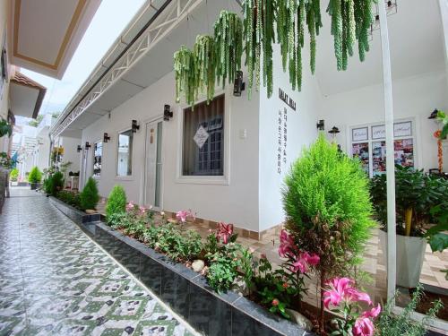 Dalat Hills Hotel - 정원