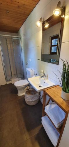 Bathroom, Ferienwohnungen Hafnerkarl in Wirsberg
