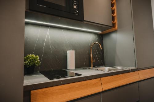 Zeus Design Apartments Prater, Vienna (photo 4)