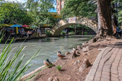 Contemporary and Open 2BR Apt near Downtown - image 20