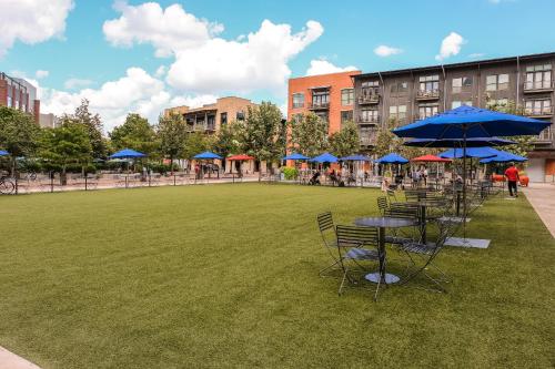 Contemporary and Open 2BR Apt near Downtown - image 12