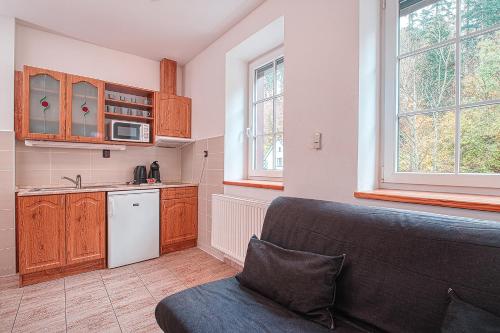 Kitchen, Apartments White - Hill in Cerny Dul