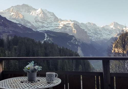 Chalet Ledibach Chalet Ledibach