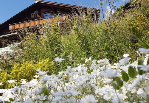 Chalet Ledibach - image 10