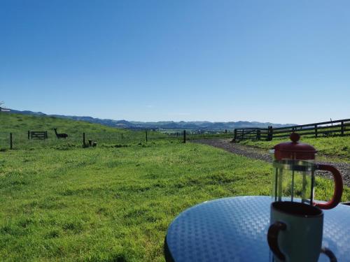 Waihi Gold Alpacas 3 or 4 people