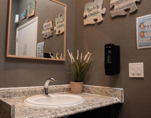 California Dreams Hostel - Pacific Beach in San Diego, USA
