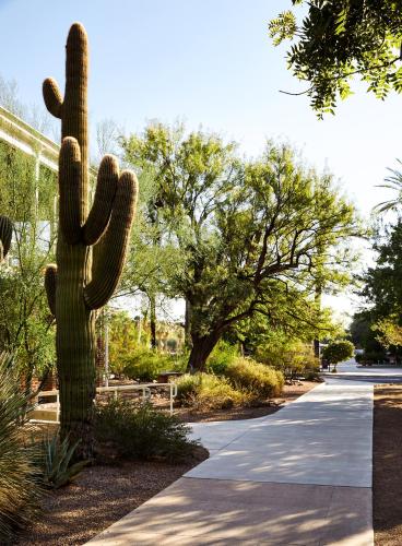 276629517 Graduate by Hilton Tucson
