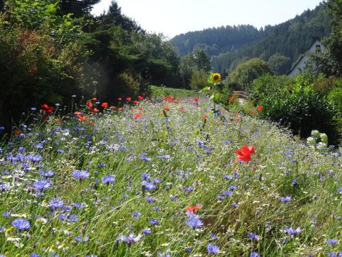 The Conscious Farmer Bed and Breakfast Sauerland