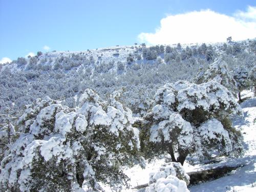 CASERIO INAZARES - MONTAÑA, CHIMENEA, NIEVE, BARBACOa