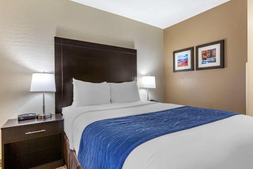 Comfort Inn & Suites Surprise Near Sun City West