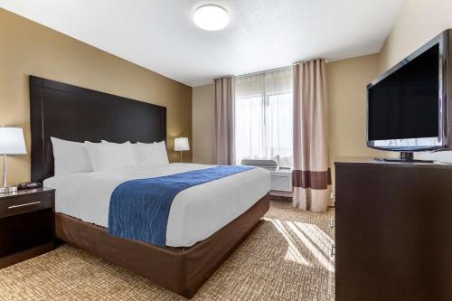 Comfort Inn & Suites Surprise Near Sun City West