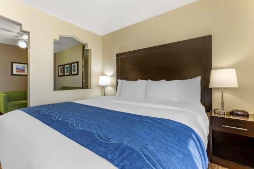 Comfort Inn & Suites Surprise Near Sun City West