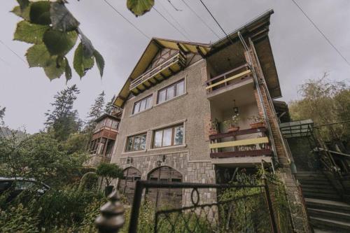 Predoi's Place