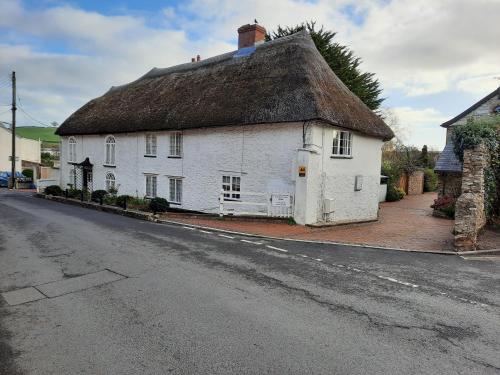 The White Cottage - Accommodation - Colyton