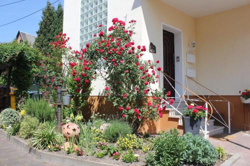 Ferienwohnung Rosemarie - Apartment - Kamp-Bornhofen