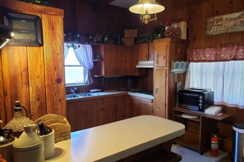 Table Rock Lake House - image 2