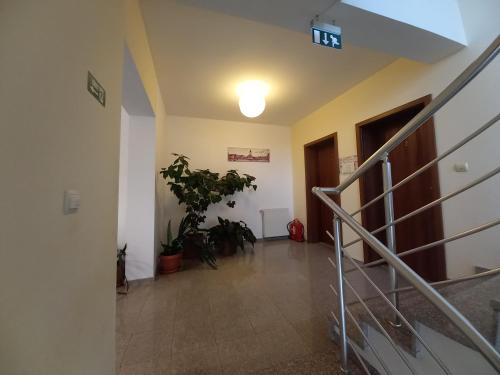 Pensiunea Riunione - image 13