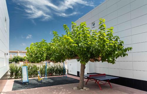 Apartamentos Els Romers Benicarló-Peñíscola - image 6