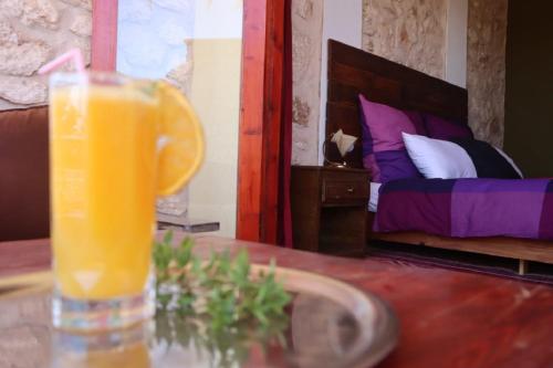 Terrasses vertes Terrasses vertes