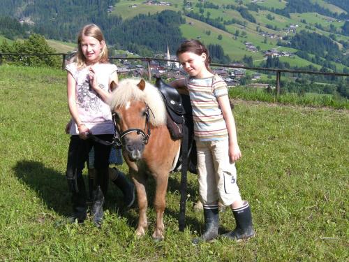 Hütte - Ferienhaus Bischoferhütte für 2-10 Personen