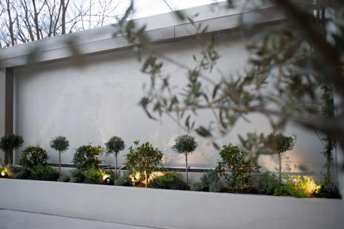 The Convo 336 - image 4