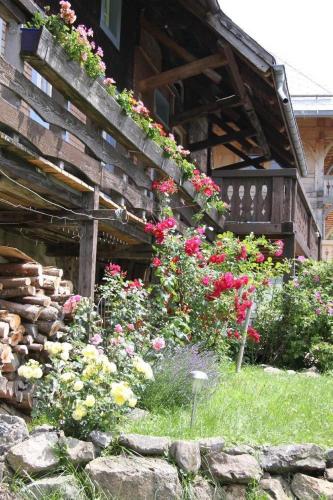 Alter-Kaiserhof - image 12