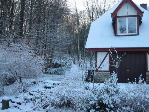 B&B Le Bois Dormant - image 3