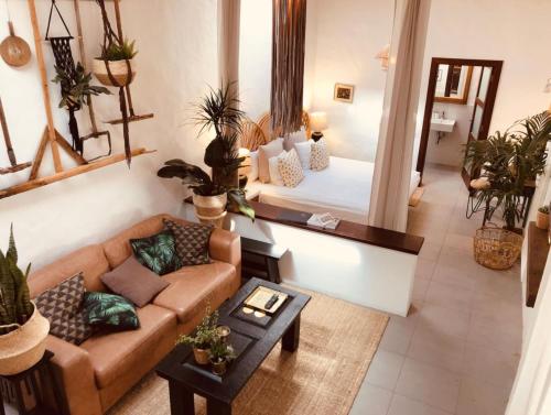 Rincón Botánico gîte à louer Tiagua