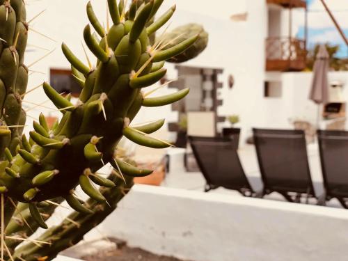  Cuarto Botánico in Muñique