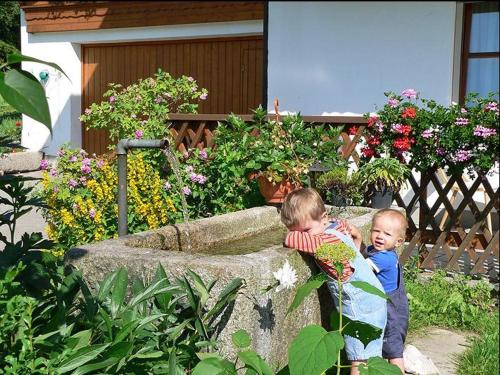 Haus-Spannbauer-Wohnung-Fuchsenstein