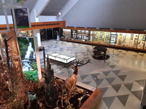 RELAX TATRAS in สตาราเลสนา