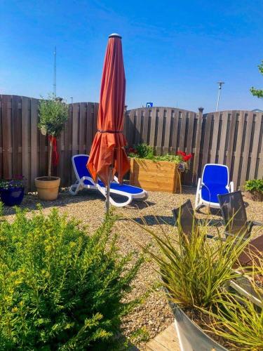 Haus-Scheel - image 8